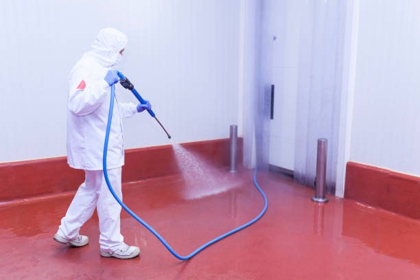 Best Playground Equipment Cleaning  in Columbia Falls, MT